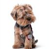 Noa Cove Luxury Dog Cologne for Pet Grooming-2