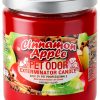 Pavo Cinnamon Apple Pet Candles for Home Freshening-1