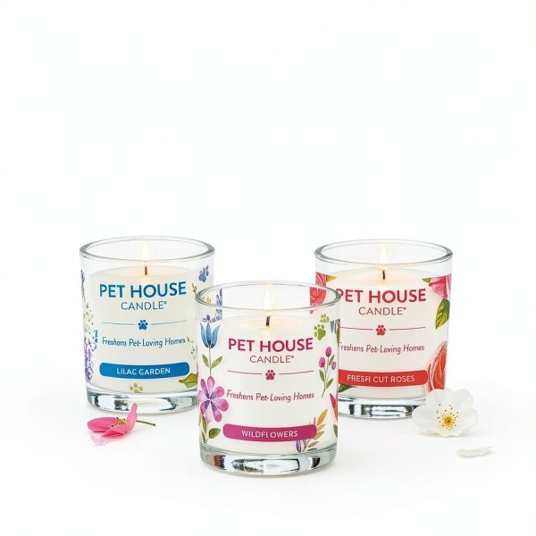 One Fur All Soy Candle Apple Cider Pack of 2 Pet Odor Neutralizer-6