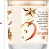 One Fur All Soy Candle Apple Cider Pack of 2 Pet Odor Neutralizer-8