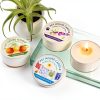 Pet House Mini Scented Candle by One Fur All 3 Pack Fragrances-2
