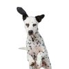 Wahl Dog Deodorant Spray Eucalyptus Spearmint 820011A Grooming-1